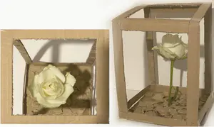 The meaning behind this gift is composed of three main foundations which are biodiversity, social and enclosure. The box represents the enclosed feeling of the surrounding buildings that you receive when walking down Dudley High Street. The ‘High Street’ gives the impression that the buildings are closing in on you, with very little open space around. The open element of the box is to create an airy space which is what Co-LAB Dudley is trying to achieve and make the atmosphere more sociable for the local people/ community. Therefore, attracting more people to the high street. Conducting research it is evident that the ‘High Street’ severely suffers from a lack of green space resulting in a lack of biodiversity across Dudley. Centrally, located within the box is a rose which resembles the biodiversity and the need for growth amongst the ‘High Street’. The white rose connotes the purity for the future of Dudley High Street and what it could become. - 1_sMdZMZUJNldAWFC5__XccQ.png