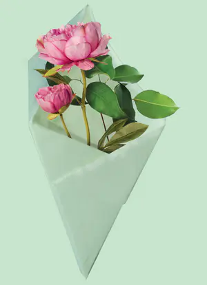 From the research that I collated, I found that the High Street was a very under-valued place that lacked both colour and nature. Therefore, the origami plant holder was a gift designed to bring natural elements such as flowers to the High Street, which could be taken home by the public. - 1_zM15Z5pnVg2-U1-sRh9YNw.png