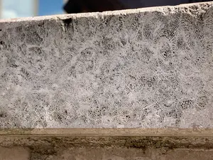 The top edge on the Duncan Edwards Memorial statue in the market square. What you're looking at is fossilised sea life of a good million + years ago.  - IMG_7264.jpeg